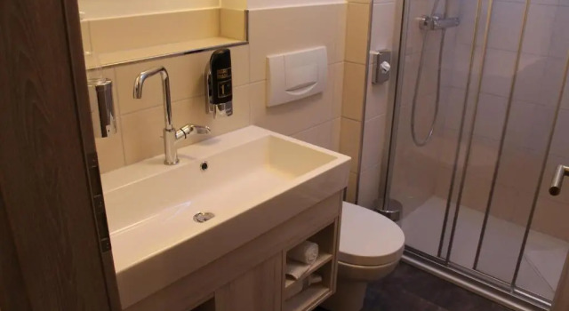 Двухместный номер Standard Hotel Engel