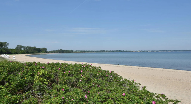 Апартаменты Wohnung in Elmenhorst Nahe Ostseestrand