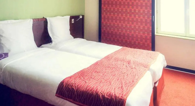 Двухместный номер Standard TRIBE Strasbourg Centre Gare