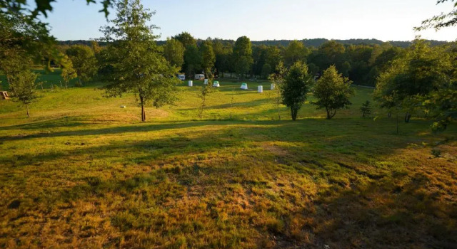 Номер Standard Camping Future Is Nature Playground