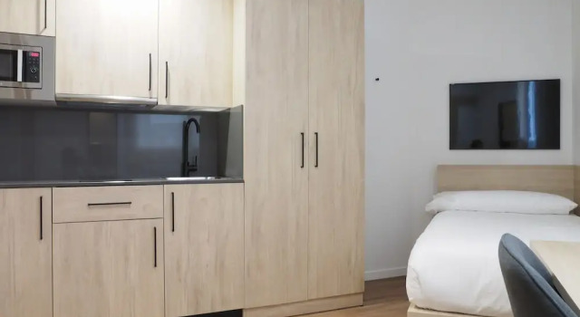 Одноместный номер Micampus San Mamés Students Residence