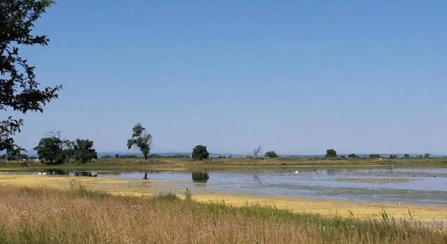 Gästehaus Ringbauer, Book Hotel Podersdorf am See 