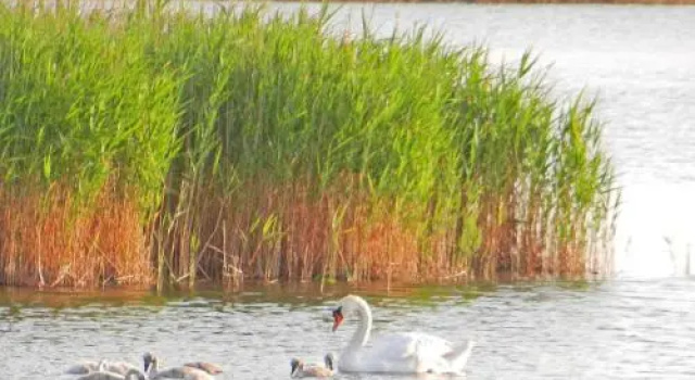 Neu renoviertes schwimmendes Ferienhaus Fischland in Barth, Забронировать Отель Отели Barther Bodden с парковкой, Парковка