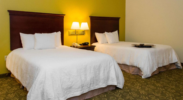 Четырёхместный номер Standard Hampton Inn Frankfort