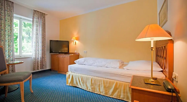 Одноместный номер Standard Hotel Alter Wirt