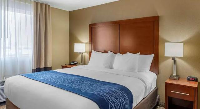 Номер Standard Comfort Inn Roseburg