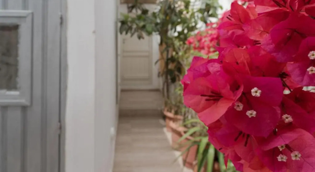 Номер Economy Depis place & apartments naxos