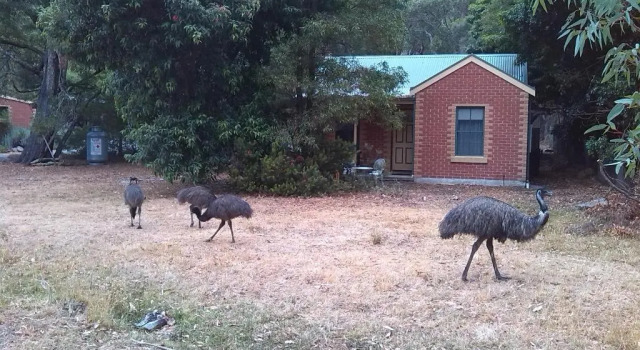 Коттедж Heatherlie Cottages Halls Gap