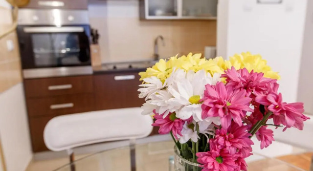 Апартаменты Linden flower Apartment