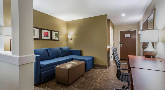 Двухместный люкс Comfort Suites Bowling Green Southeast