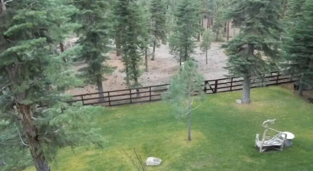 Коттедж Hch1239 - Heavenly Tree House 4 Bedroom Home
