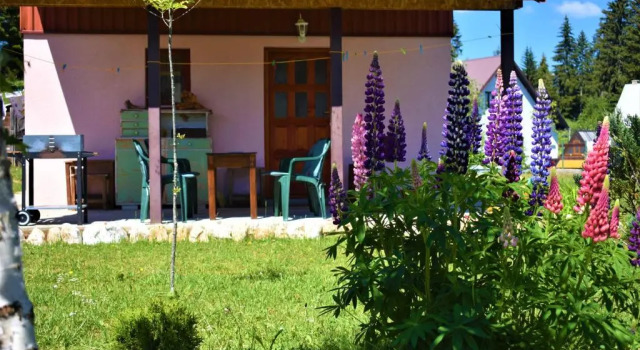 Šepić Accommodation, Book Hotel Billige hoteller i Zabljak