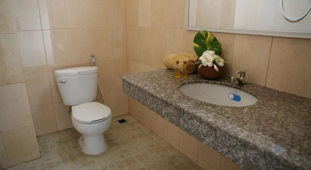 Номер Standard Alisa Guesthouse