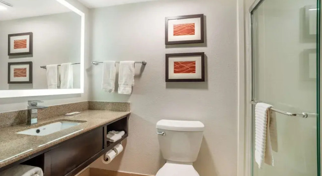 Двухместный люкс Business Comfort Inn & Suites Lake Norman