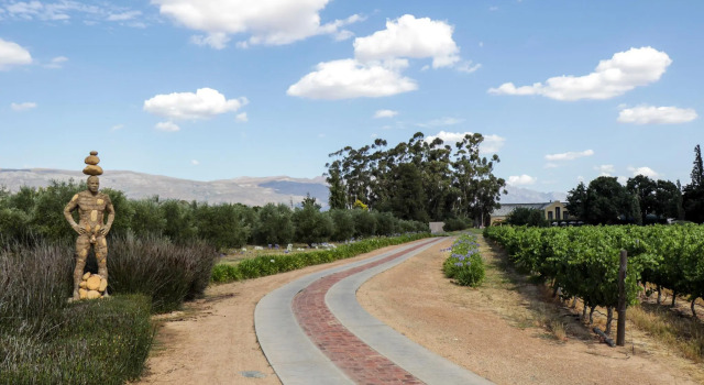 Номер Standard Saronsberg Vineyard Cottages