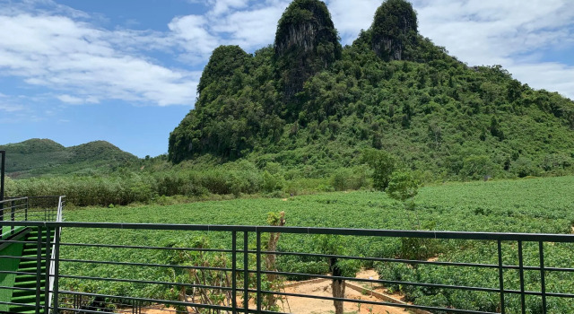 Кровать в общем номере Phong Nha Eco Mountain Farmstay
