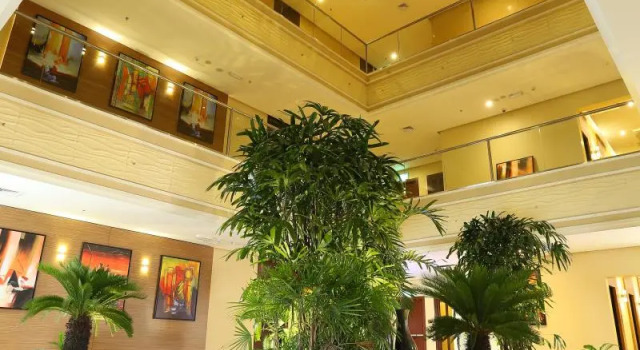 Одноместный номер Standard Best Western Plus Salmiya
