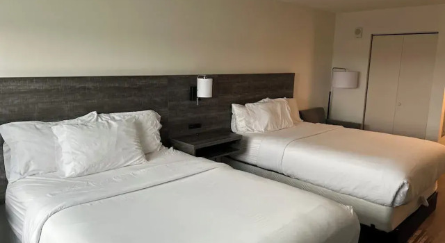 Firedobbelt suite The Nest