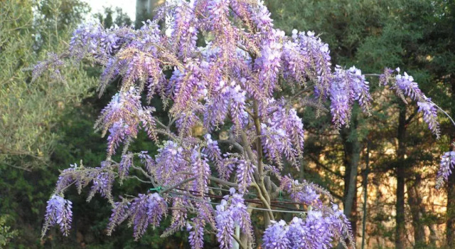 Le Jardin des Selves, Забронировать Отель Драгиньян Вар