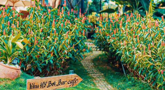 Long Hill Resort And Spa, Забронировать Курортный отель Отели Binh Dinh с завтраком, Завтраки
