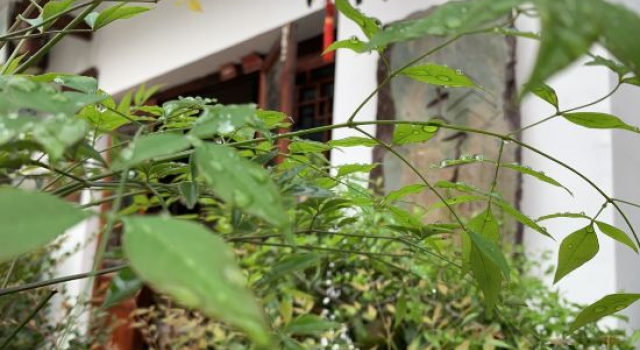 Fanjingshan Muzi courtyard, Prenota Hotel Tongren Guizhou