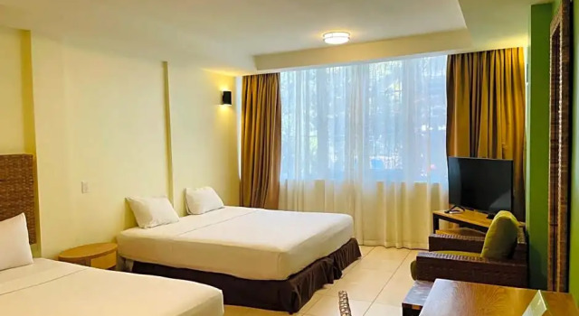 Küçük süit Jacana Amazon Wellness Resort