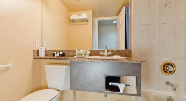 Двухместный люкс Deluxe Rosedale on Robson Suite Hotel