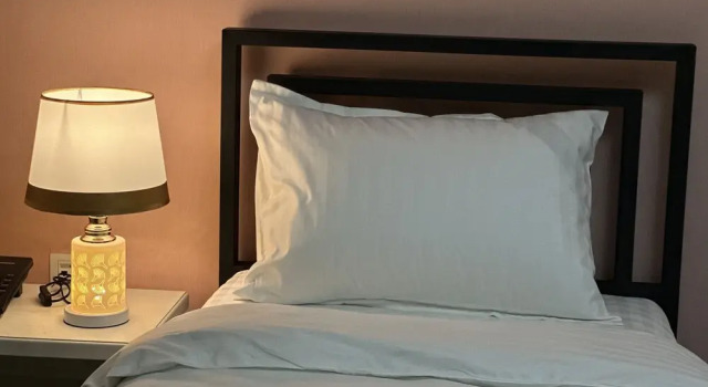 Camera Standard 1 camera da letto con vista sulla città Ayva Hotel