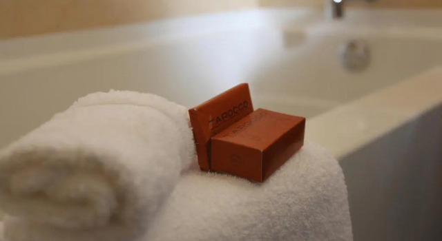 Двухместный номер Standard Pointe Plaza Hotel