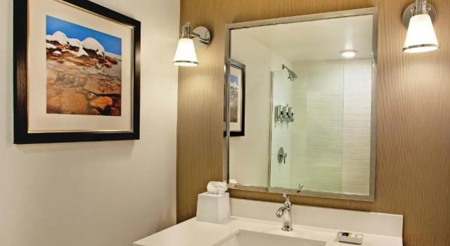 Четырёхместный номер Standard Four Points By Sheraton - Saginaw