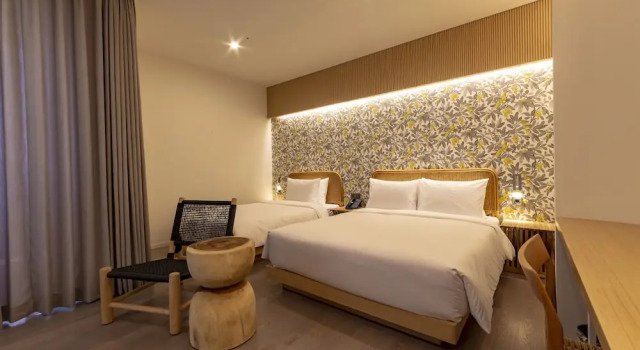 Camera Premium Hound Garden&Terrace Hotel