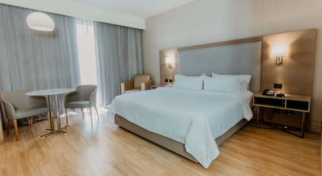 Hilton Garden Inn Silao Aeropuerto Bajio, Prenota Hotel Hotel SPA a El Bajio, SPA