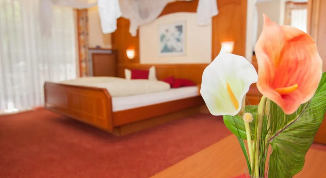 Номер Deluxe с балконом Parkhotel Bad Faulenbach