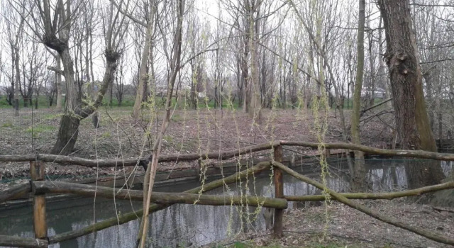 Номер Standard Cascina Scanna