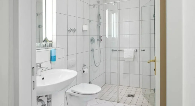 Двухместный номер Comfort Hotel Zum Schiff