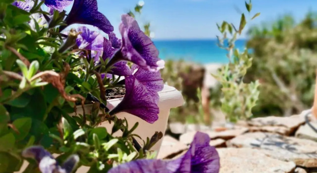 Апартаменты Beachfront House Geremeas Sardegna