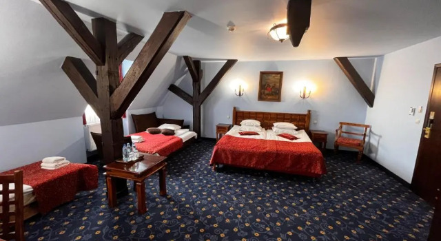 Двухместный номер Standard Hotel Zamek Ryn