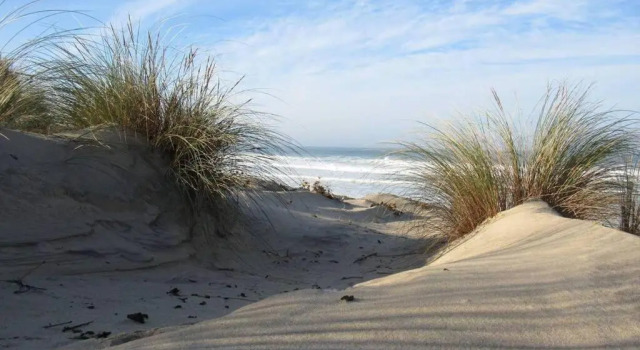 Коттедж Maison 4 à 5 personnes au pied des plages