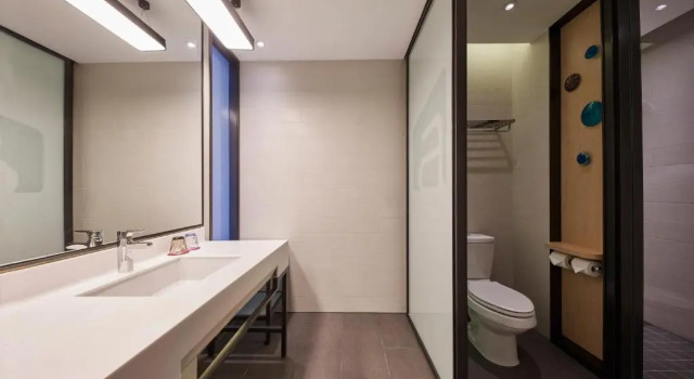 Двухместный номер High Floor Aloft by Marriott Shanghai Zhangjiang Haike