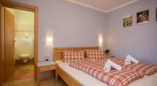 Номер Standard Säuleck Appartement mit Kärntencard
