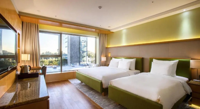 Camera Standard Baymond Hotel