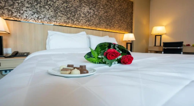 Двухместный номер Executive Holiday Inn Rosario by IHG