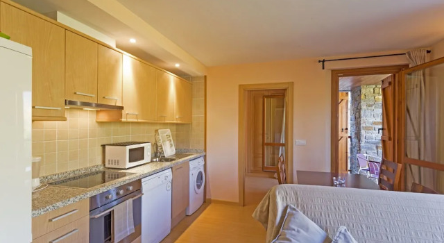 Апартаменты La Pleta de Soldeu Apartments