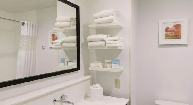 Четырёхместный номер Standard Hampton Inn Mount Pleasant
