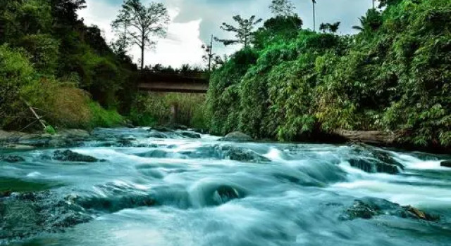 Rivertree Munnar