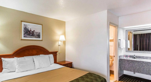 Standard Zimmer Econo Lodge
