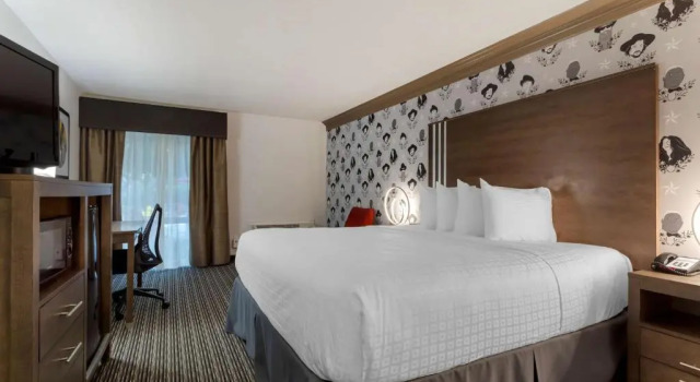 Standard Zimmer Aiden Austin City Hotel