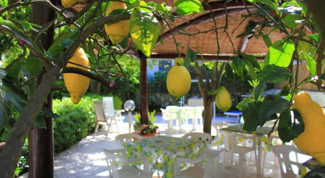 Hotel Casa Mazzella, Buchen Sie Hotel Casamicciola Terme Ischia