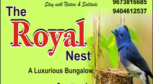 Royal Nest Bungalow