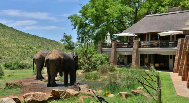 Kwa Maritane Bush Lodge Pilanesburg, Buchen Sie Hotel Mogwase Pilanesberg National Park